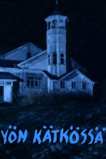 Yön kätkössä film afişi