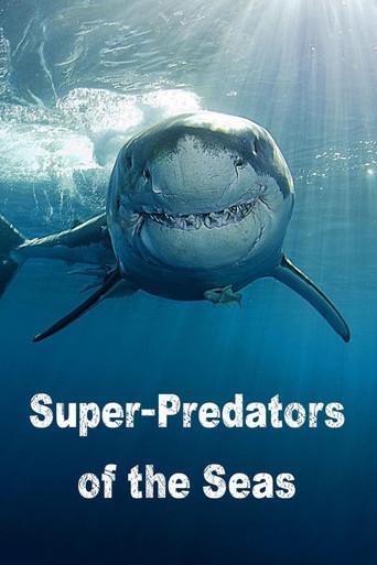 Genius Sea Hunters dizi afişi