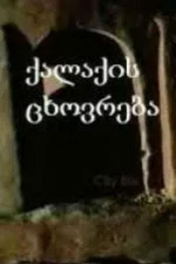 City Life film afişi