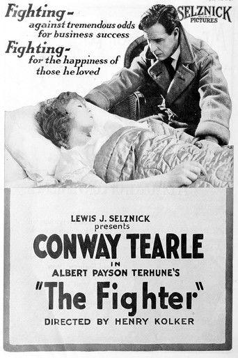 The Fighter film afişi