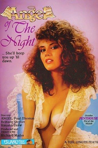 Angel of the Night film afişi