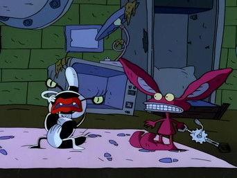 Festival of the Festering Moon