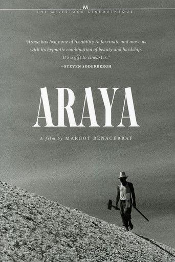 Araya film afişi