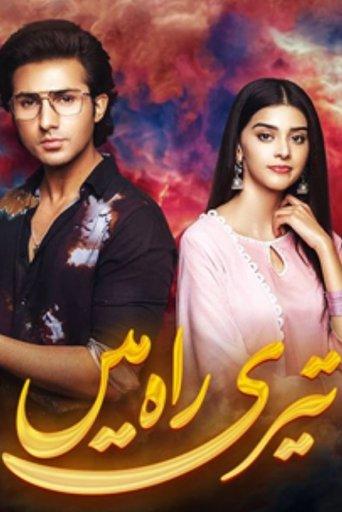 Teri Rah Mein dizi afişi