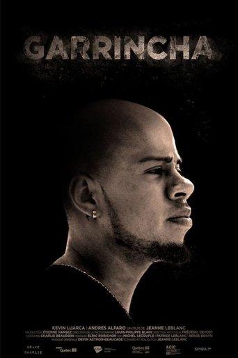 Garrincha film afişi