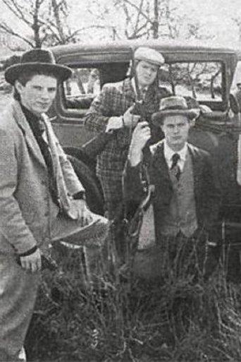 The Irresistible film afişi