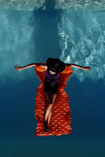 Beauty is Revenge film afişi