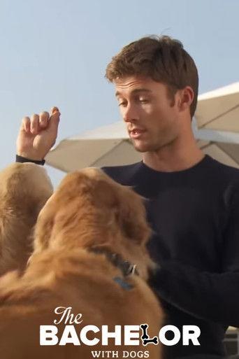 The Bachelor with Dogs and Scott Eastwood film afişi