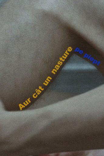 Aur cât un nasture pe piept film afişi