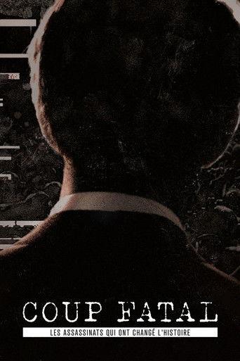 Fatal Shot dizi afişi