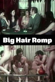 Big Hair Romp film afişi