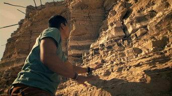 Rise of the Canaanites