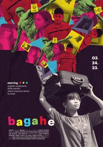 Baggage film afişi