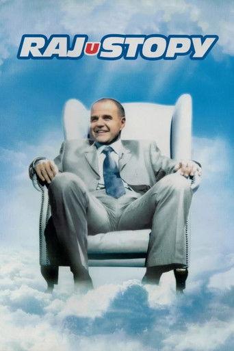 Rajustopy film afişi