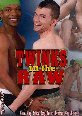 Twinks in the Raw film afişi
