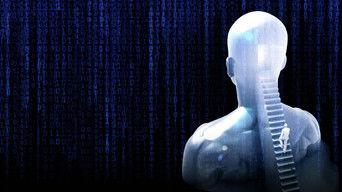 Awaken the Sovereign Mind