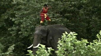 Ancient Special Forces