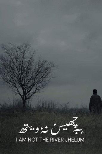 I'm Not The River Jhelum film afişi