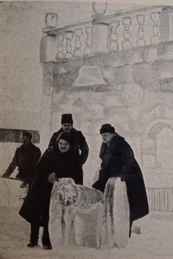 The Ice House film afişi