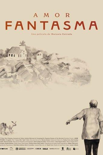 Phantom Love film afişi