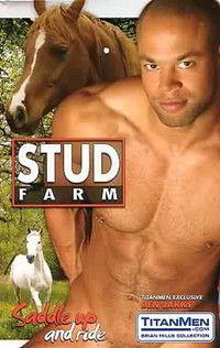 Stud Farm film afişi