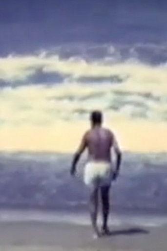 Emin & Emin film afişi