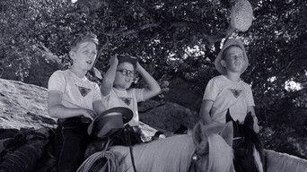 Perkins and the Bear