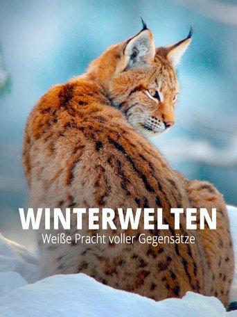 Terra X - Wilde Winterwelten film afişi
