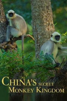 China's Secret Monkey Kingdom film afişi