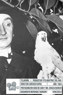 Telaraña film afişi