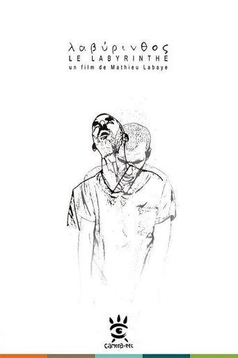 The Labyrinth film afişi