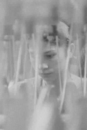 At the Lőrinc Spinnery film afişi