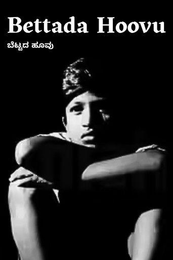 Bettada Hoovu film afişi