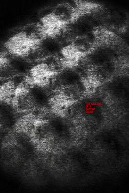 The Killing of a Danish Swan film afişi