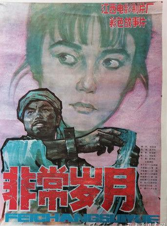 Extraordinary Years film afişi