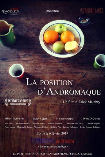 La Position d'Andromaque film afişi