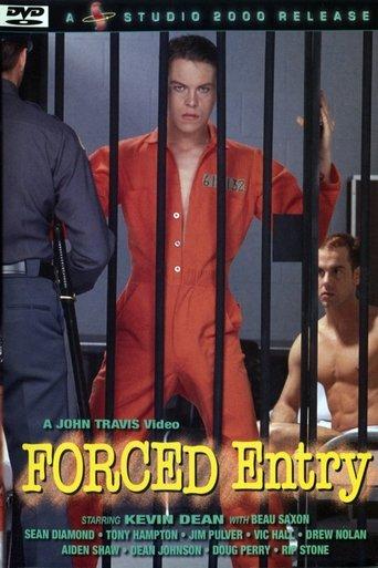 Forced Entry film afişi