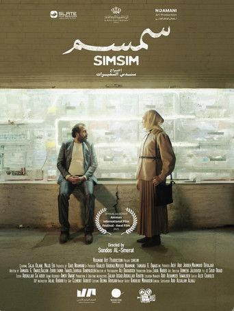Simsim film afişi