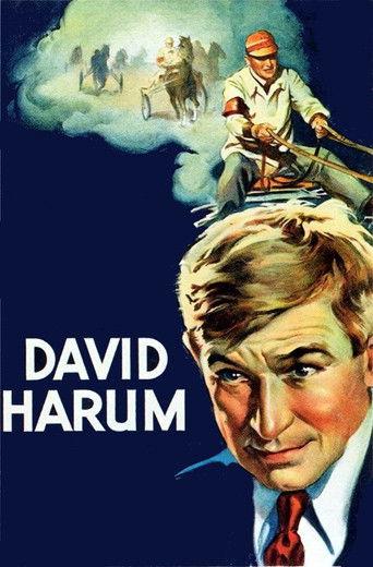 David Harum film afişi