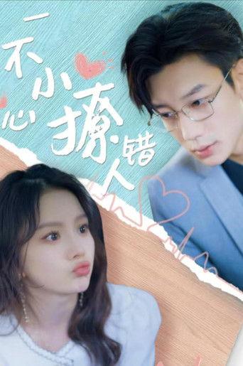 一不小心撩错人 dizi afişi