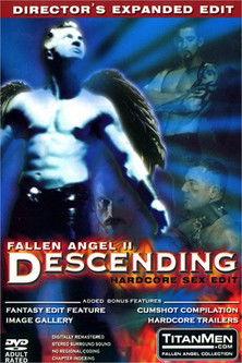 Fallen Angel 2: Descending film afişi