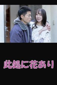 Flowers Grow Here film afişi