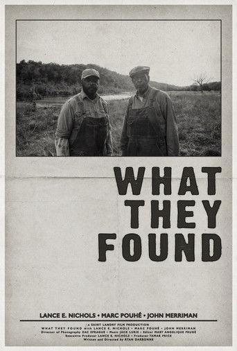 What They Found film afişi