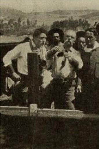 The Poisoned Flume film afişi