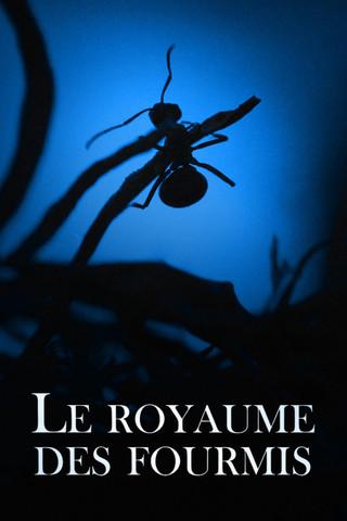Le Royaume des fourmis film afişi