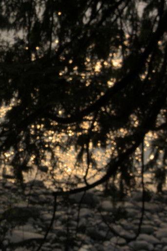 Narcissus film afişi