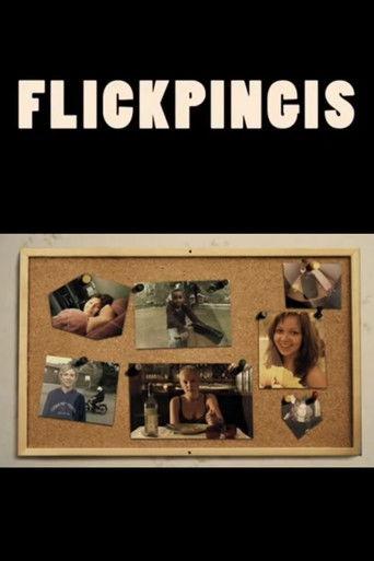 Flickpingis film afişi