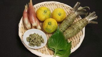 Yakumi: Traditional Japanese Seasoning