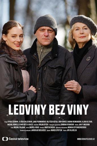 Ledviny bez viny film afişi