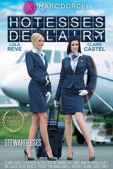 Stewardesses film afişi